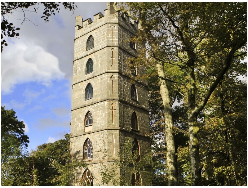 Click here for more about Brynkir Tower